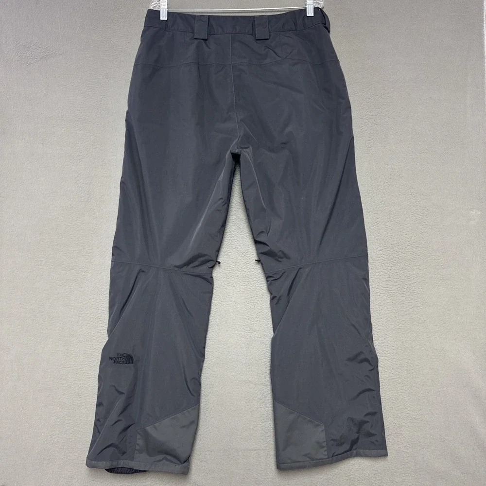 The North Face Freedom Insulated Dryvent Ski Snow Pants Mens M (34x30) Gorpcore